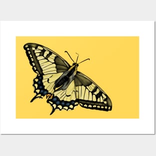 Swallowtail Butterfly Drawing Posters and Art